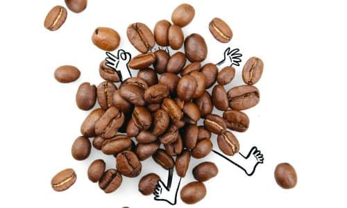 Can You Eat Coffee Beans? Myth vs Reality