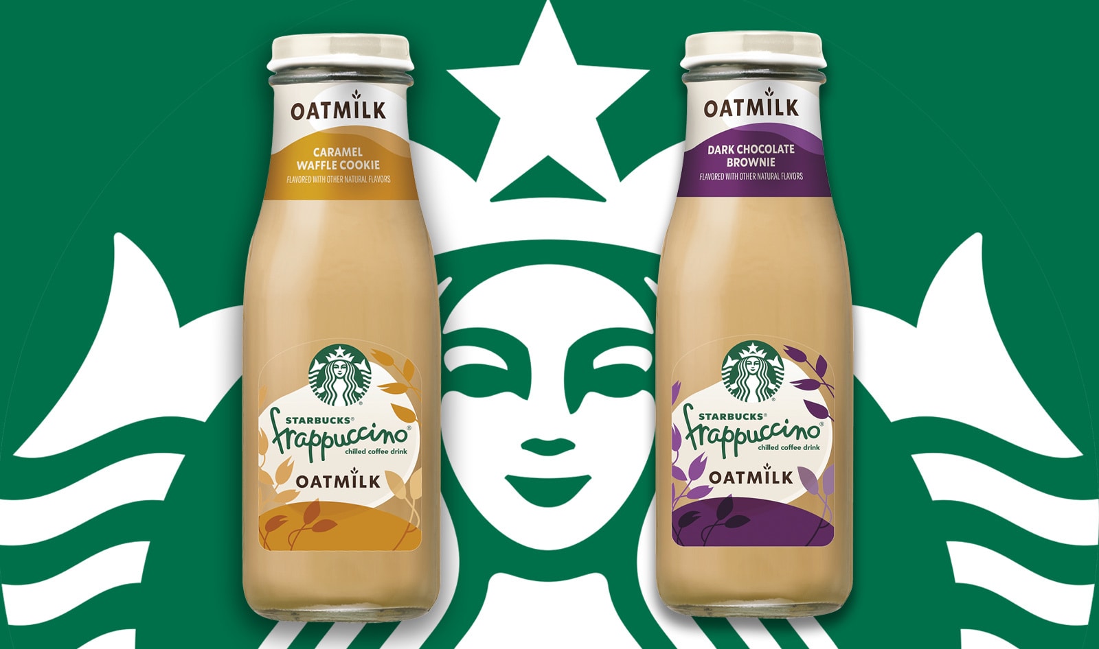 Starbucks Oat Milk Drinks: Exploring Dairy-Free Delights